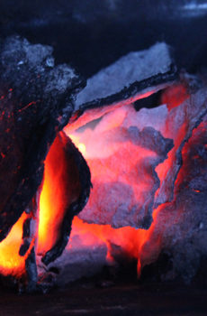 Agnihotra Asche