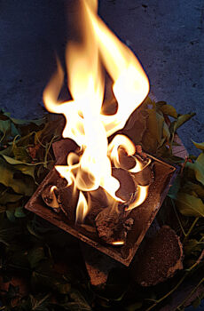 Personalisiertes Agnihotra Feuerritual